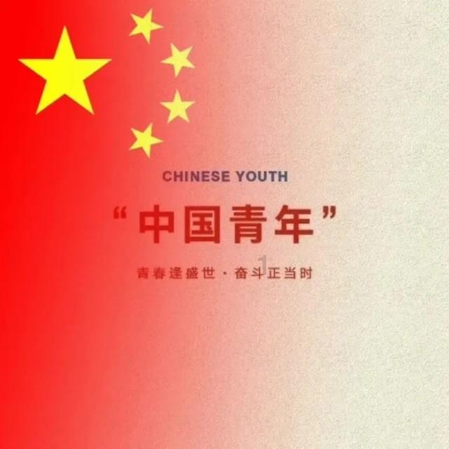 坦克动荡加强版